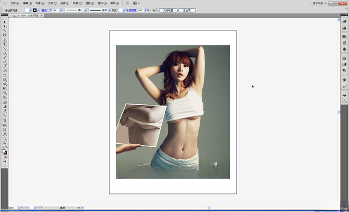 Adobe Illustrator CS515.0.2 ʸ����ͼ���