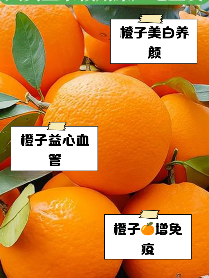 简橙功效作用禁忌与吃法