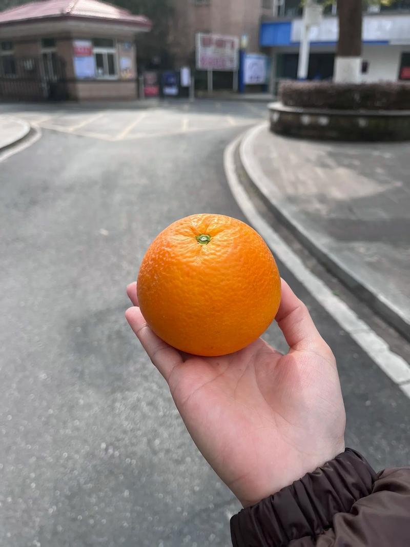 简橙食用禁忌人群