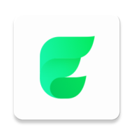 Elisi