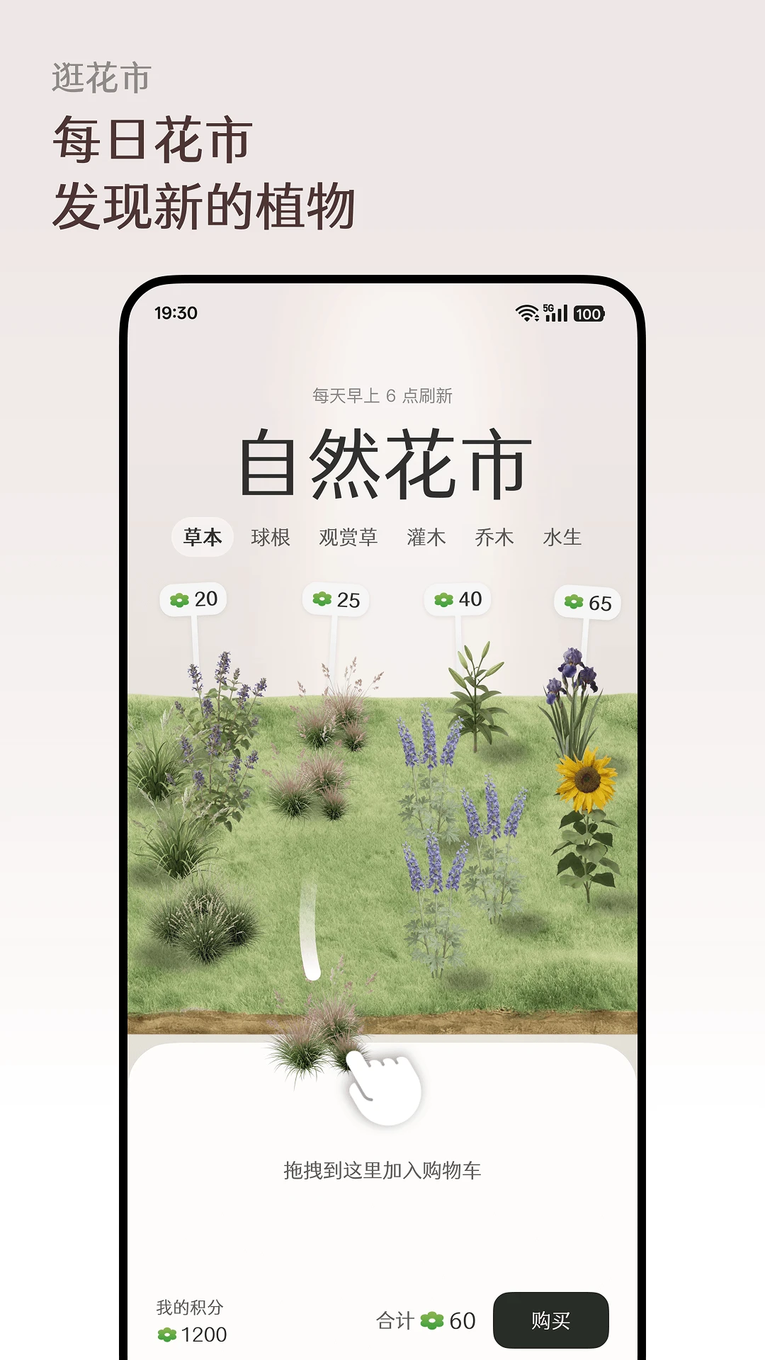 ����Floravale1.0.11 ����ģ��