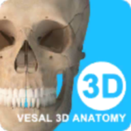 ά����3D����Vesal