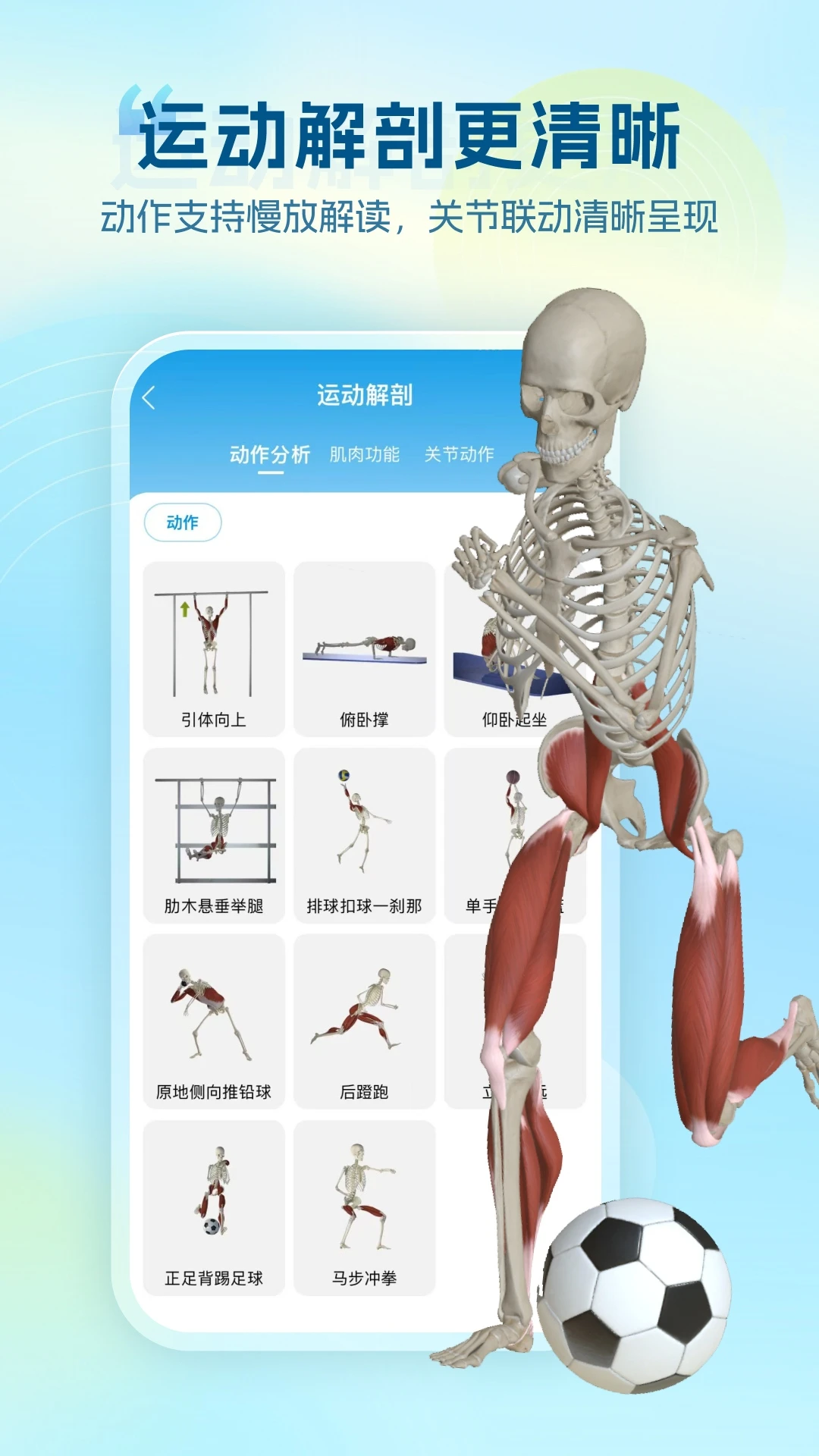 ά����3D����Vesal7.1.1 ��ά�������ѧϰ