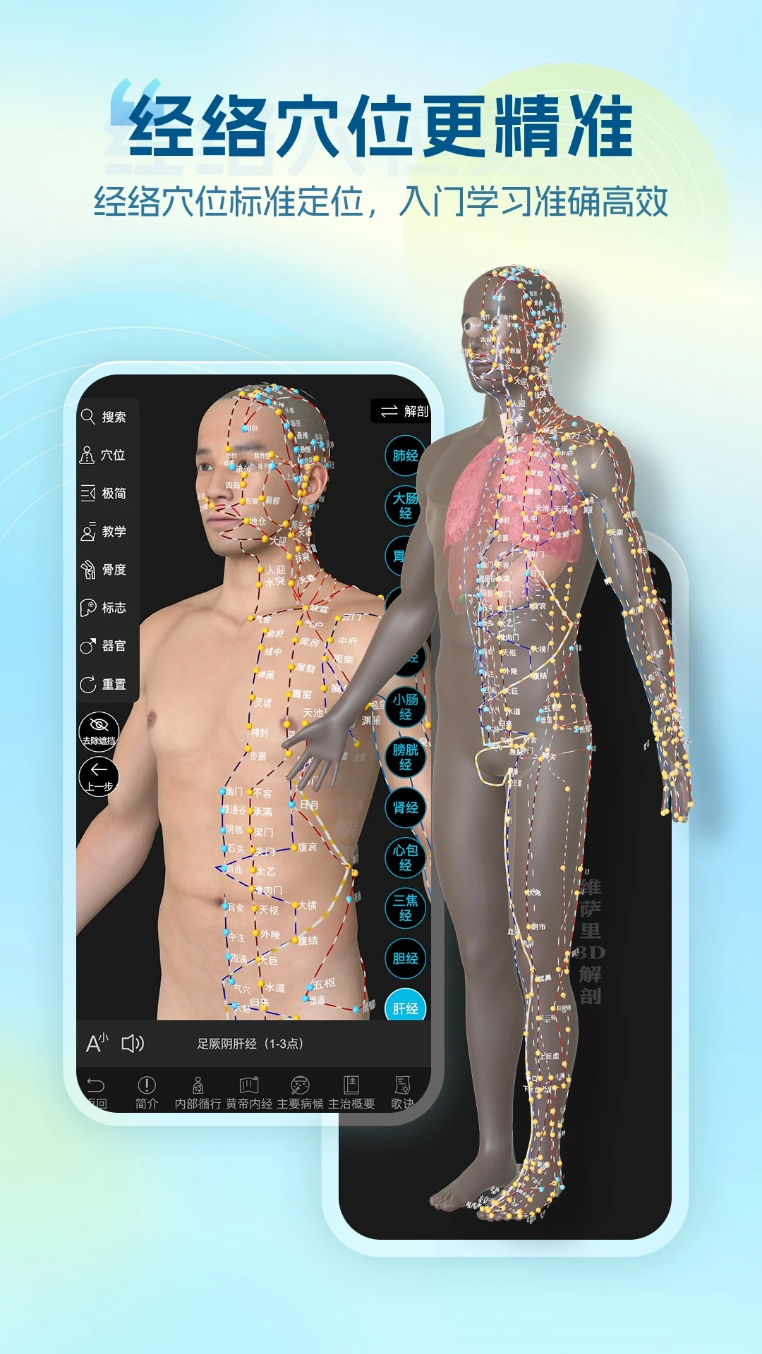 ά����3D����Vesal7.1.1 ��ά�������ѧϰ