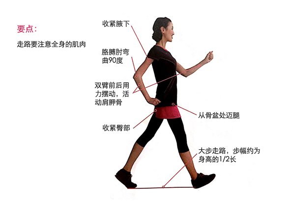 记步行 走路瘦身 经验分享 配图