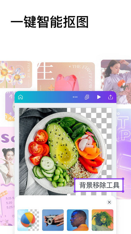 Canva�ɻ�2026���°�
