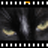 PhotoFilmStrip3.12.1 ��Ƭת��Ƶ����