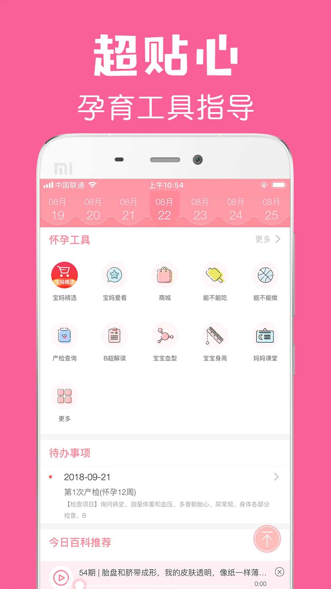 ��������3.8.2 �в�֪ʶ��ȫ