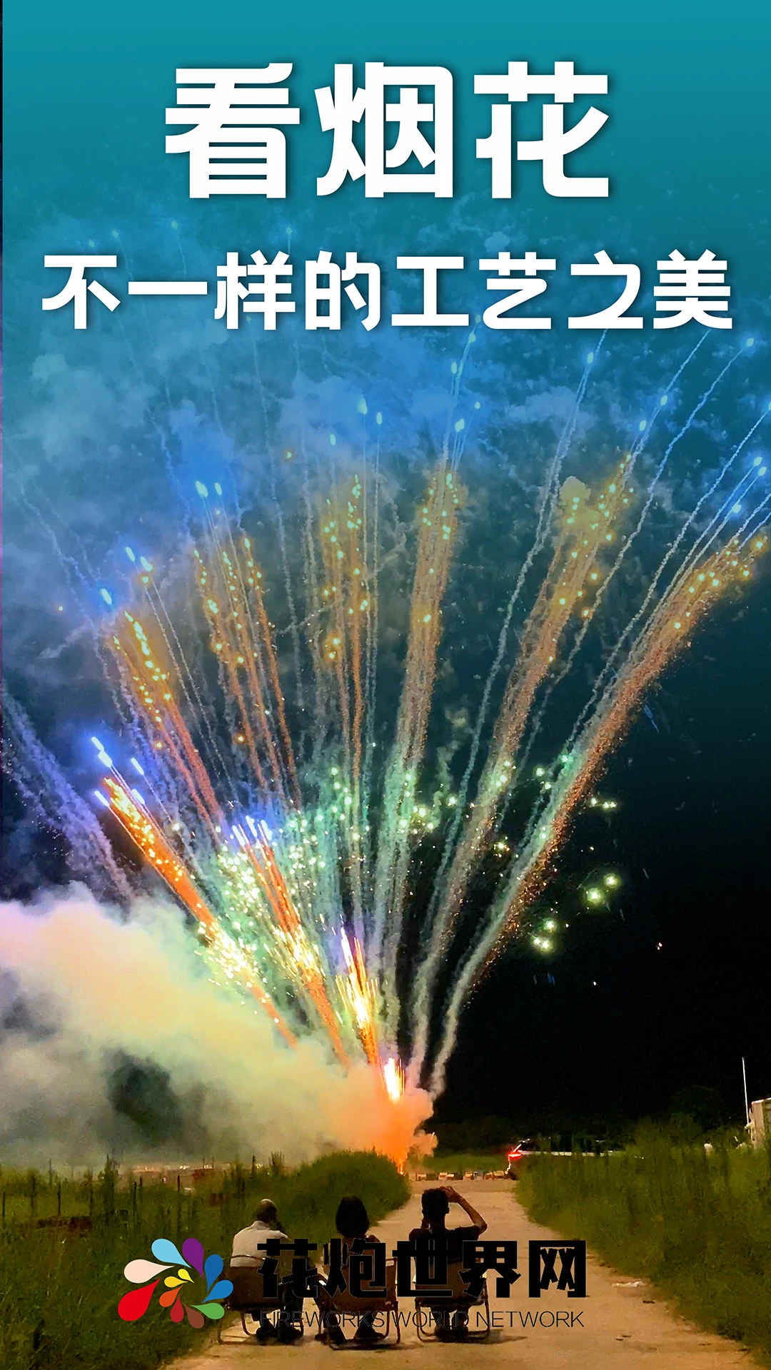 ��������1.6.6 �̻�ѡ��ָ��