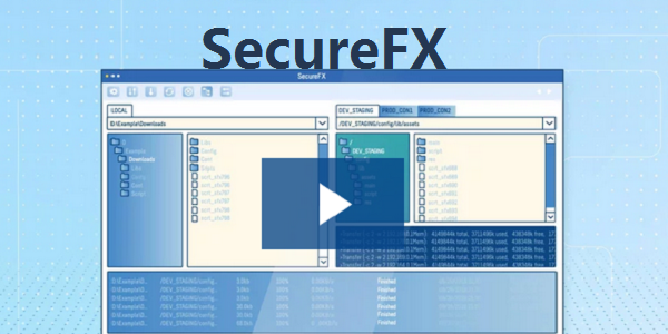 SecureFX 使用教程 界面功能详解