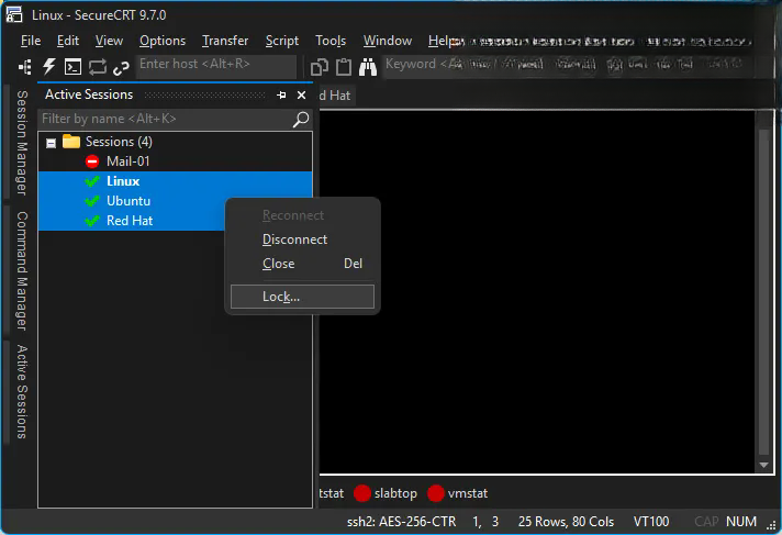 SecureFX8.1.1 ��ȫ�ļ�����