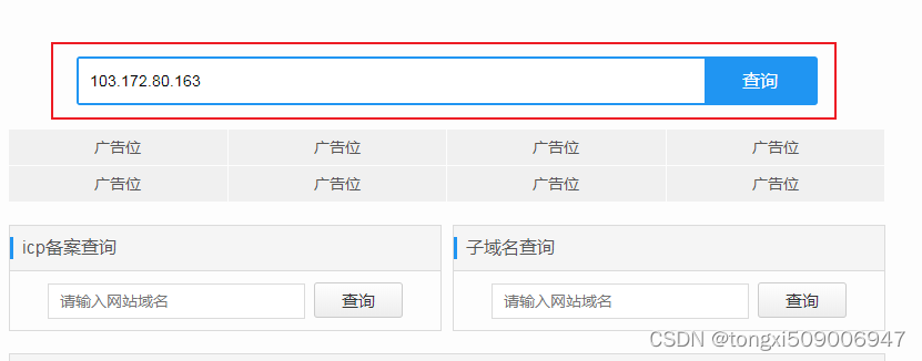 IP地址信息查询器 软件界面 截图