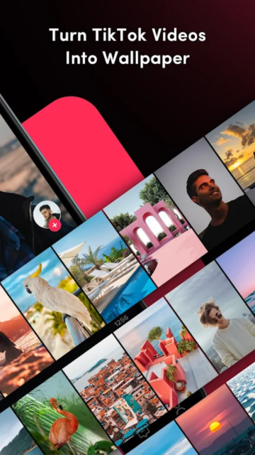 Video Wallpaper2.0.2 ��̬��ֽ����
