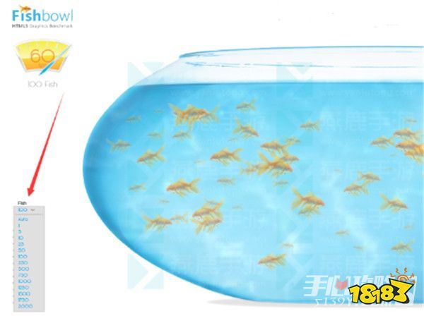 fishbowl 鱼缸养鱼新手入门全套教程配图