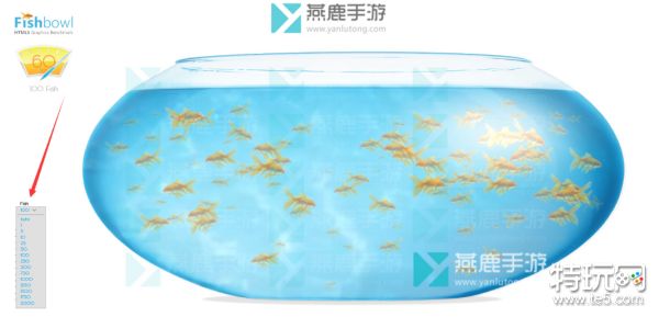 fishbowl 鱼缸养鱼新手选鱼密度混养攻略配图