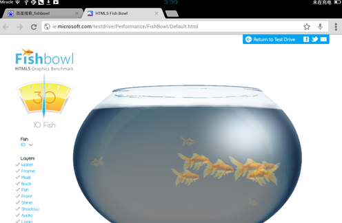 fishbowl 鱼缸养鱼设备维护常见鱼病预防配图