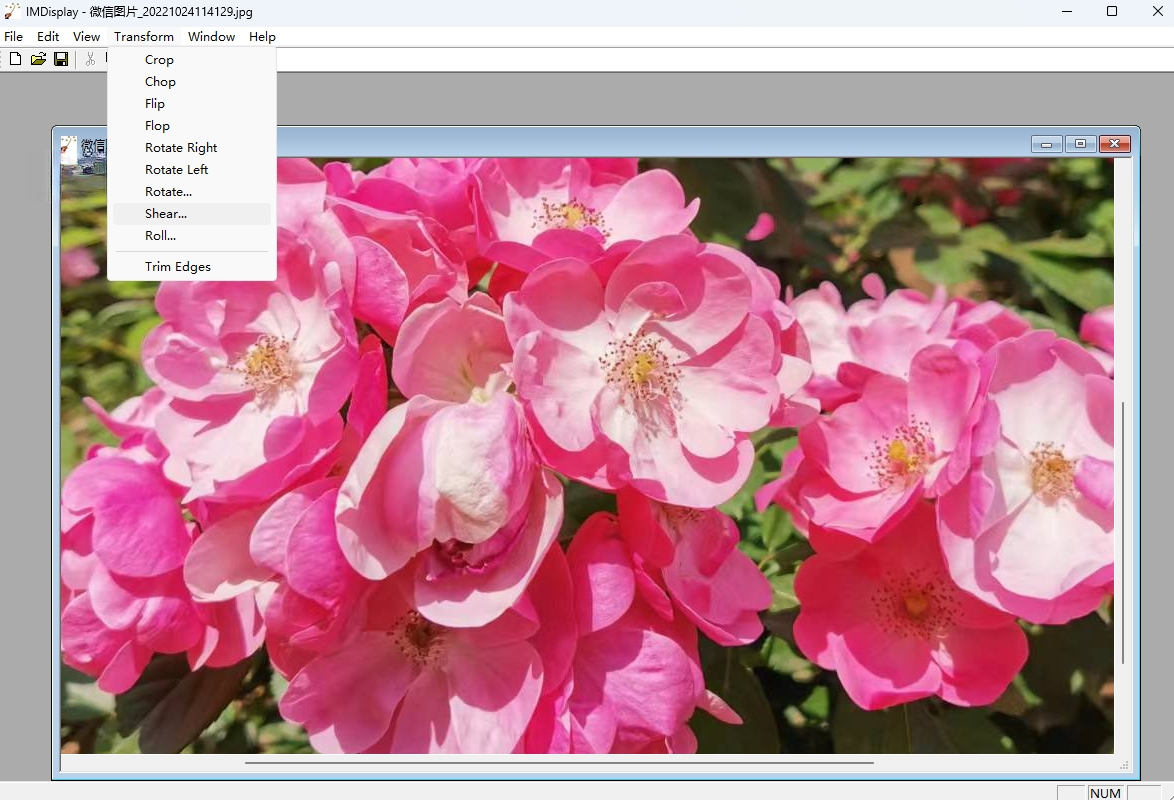 ImageMagick7.1.1 ͼ��������