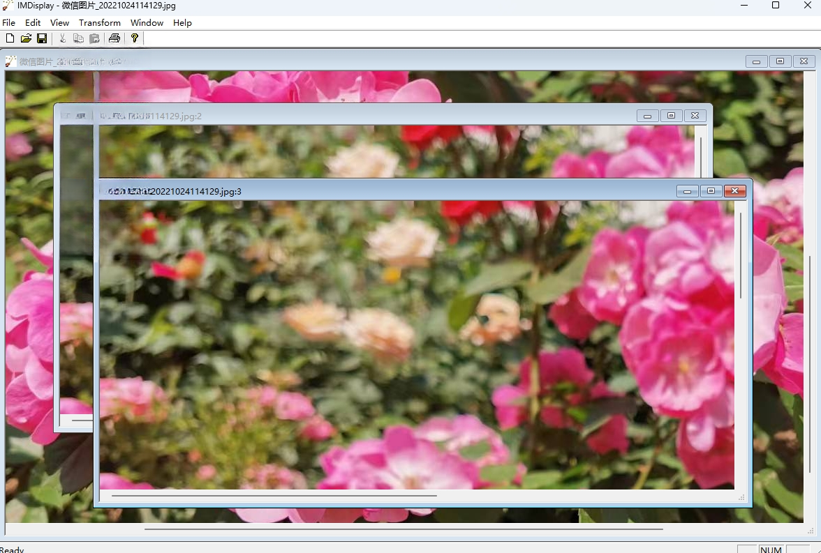 ImageMagick7.1.1 ͼ��������