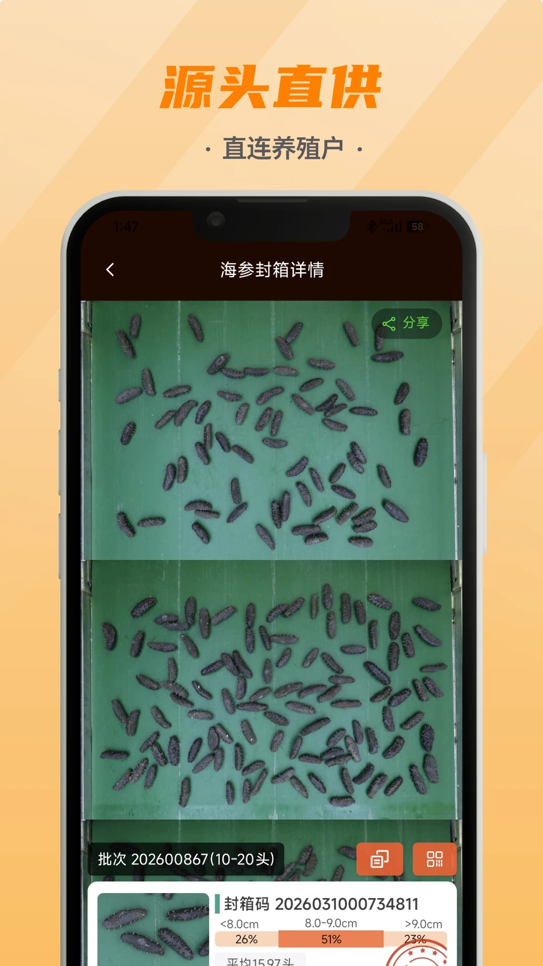 �����׹�1.0.33 ������������