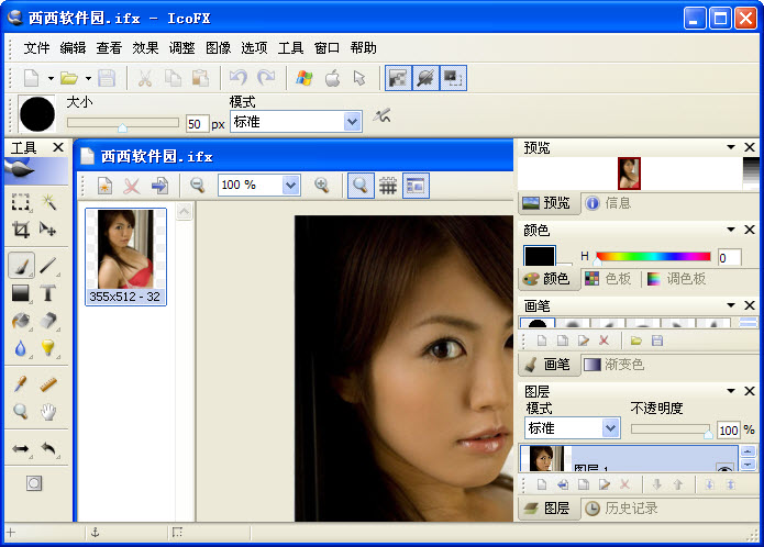 IcoFX3.7 ͼ������