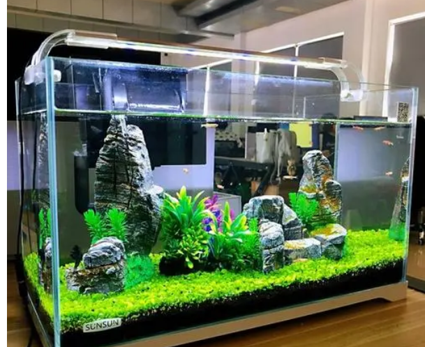 七彩水世界 安卓版 水族箱造景教程