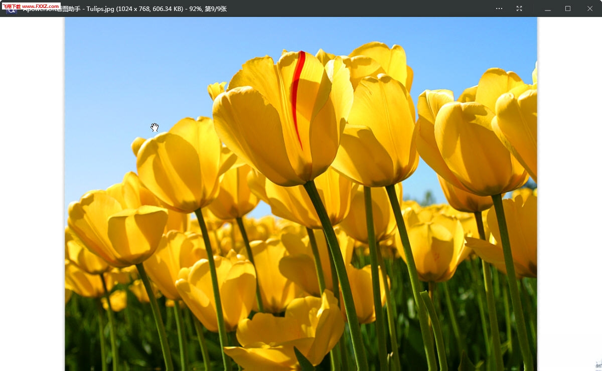Apowersoft��ͼ����1.4.6 ��Ч��ͼ����