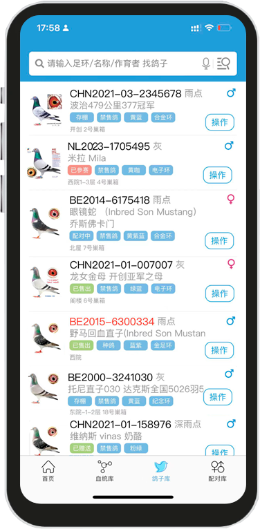 赛鸽云平台实时追踪赛鸽轨迹功能展示