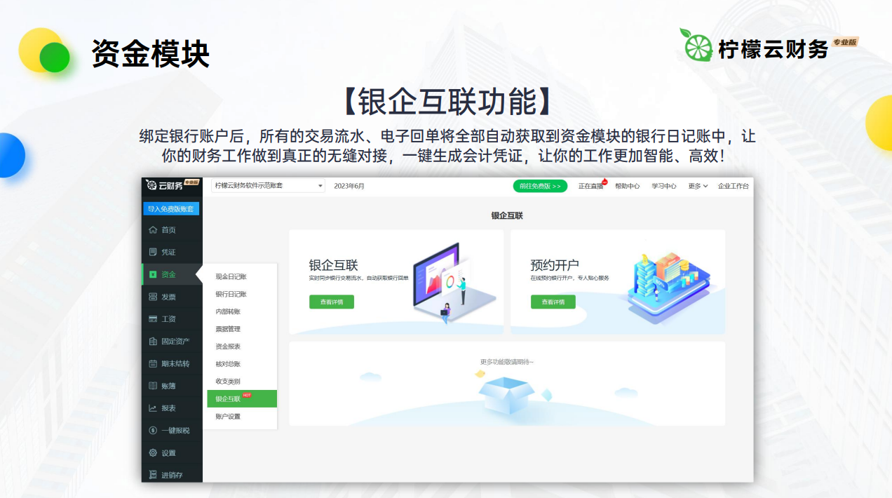 柠檬云财务软件 移动端 界面