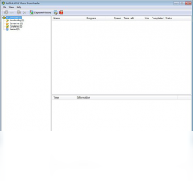 Sothink Web Video Downloader Stand-alone �������� ����