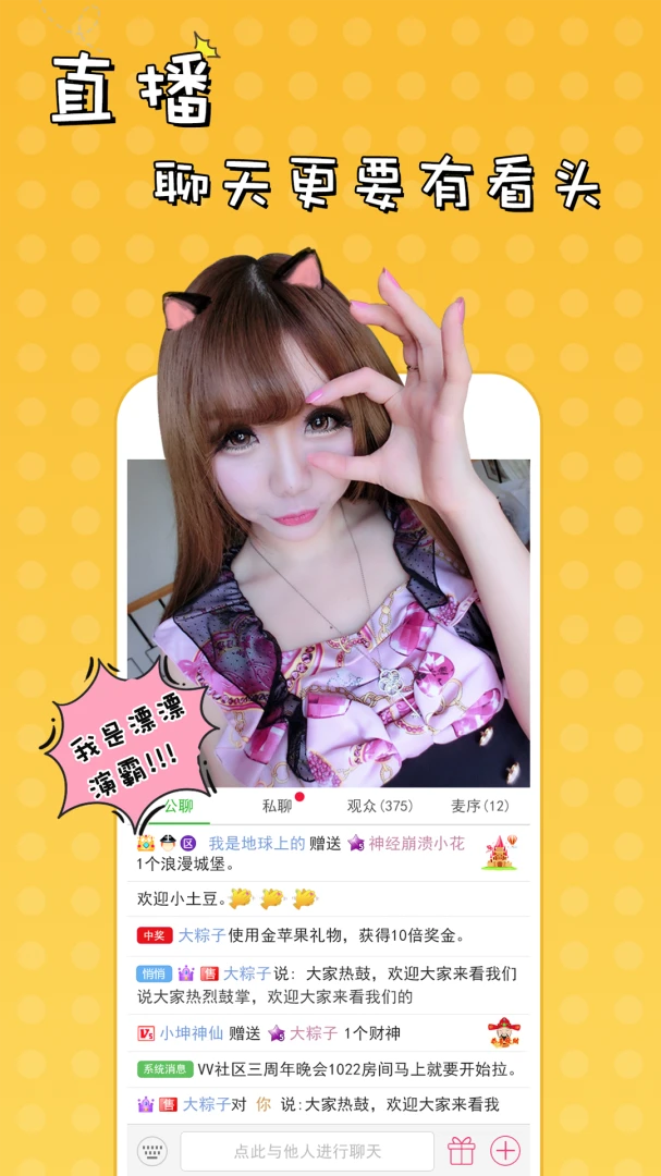 51VV3.17.9.3 ��Ƶ�罻����