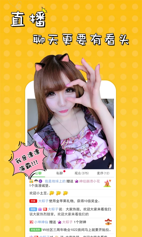 51VV3.17.9.3 ��Ƶ�罻����