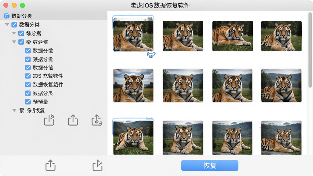 老虎iOS数据恢复软件预览与恢复界面,画面左侧是数据分类树形菜单,右侧是照片缩略图预览区域,底部有恢复按钮,布局左右分栏,排版规整,风格为浅色商务风,细节包含勾选框和导出图标,画质高清,干净,无多余元素