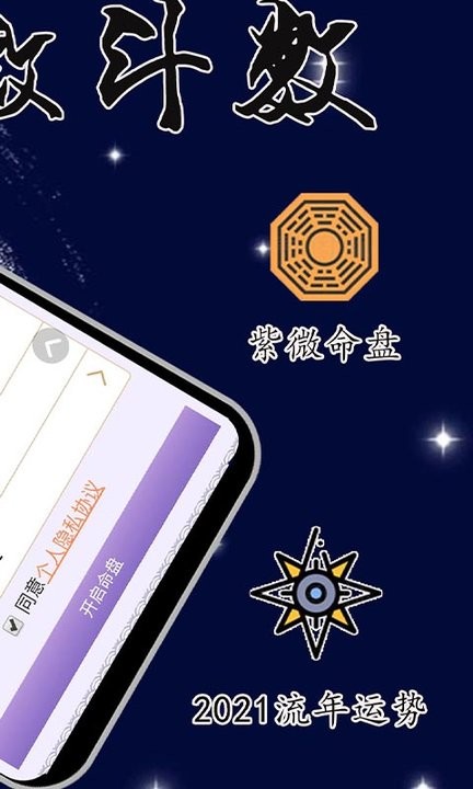 最东玄安卓版 紫微斗数排盘界面截图