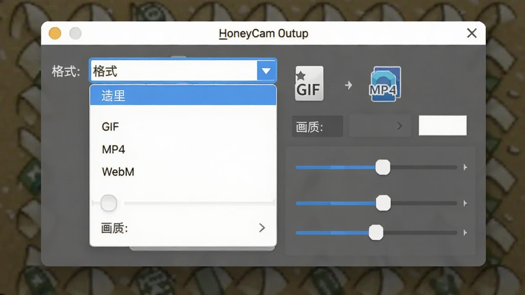 一张展示HoneyCam输出设置窗口的图片,主体是格式选择下拉菜单和参数调节面板,布局居中弹窗,排版整齐,风格为简洁工具风,细节包括GIF、MP4、WebM格式图标和画质调节滑块,画质清晰,干净,无多余元素