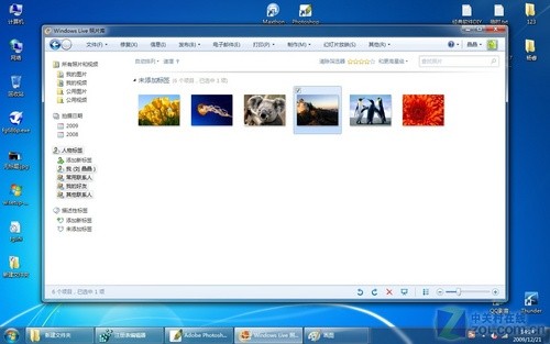Windows Live 照片库 安卓版 手机端照片管理界面