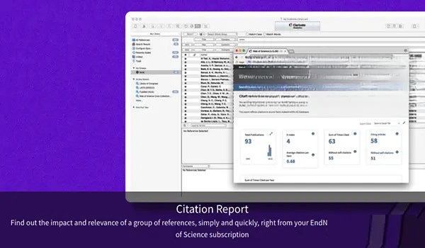 EndNote2025 ���׹�������