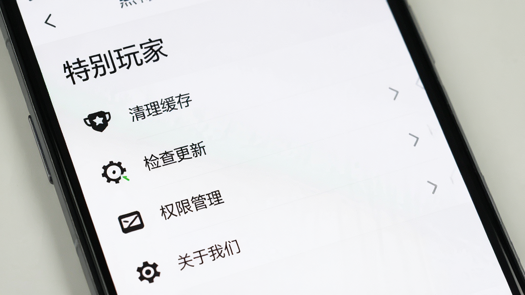 手机屏幕显示“特别玩家”设置页面,包含清理缓存、检查更新、权限管理、关于我们等选项,背景白色,图标简洁,风格清爽,画质清晰,无多余元素