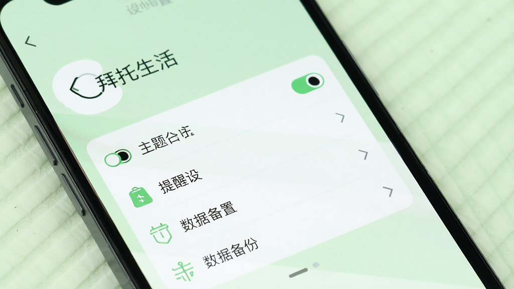 一张展示手机屏幕的图片,屏幕中显示拜托生活的设置页面,页面中有主题切换、提醒设置、数据备份等选项,背景为淡绿色,图标设计简洁,整体风格清爽,画质高清,无多余元素