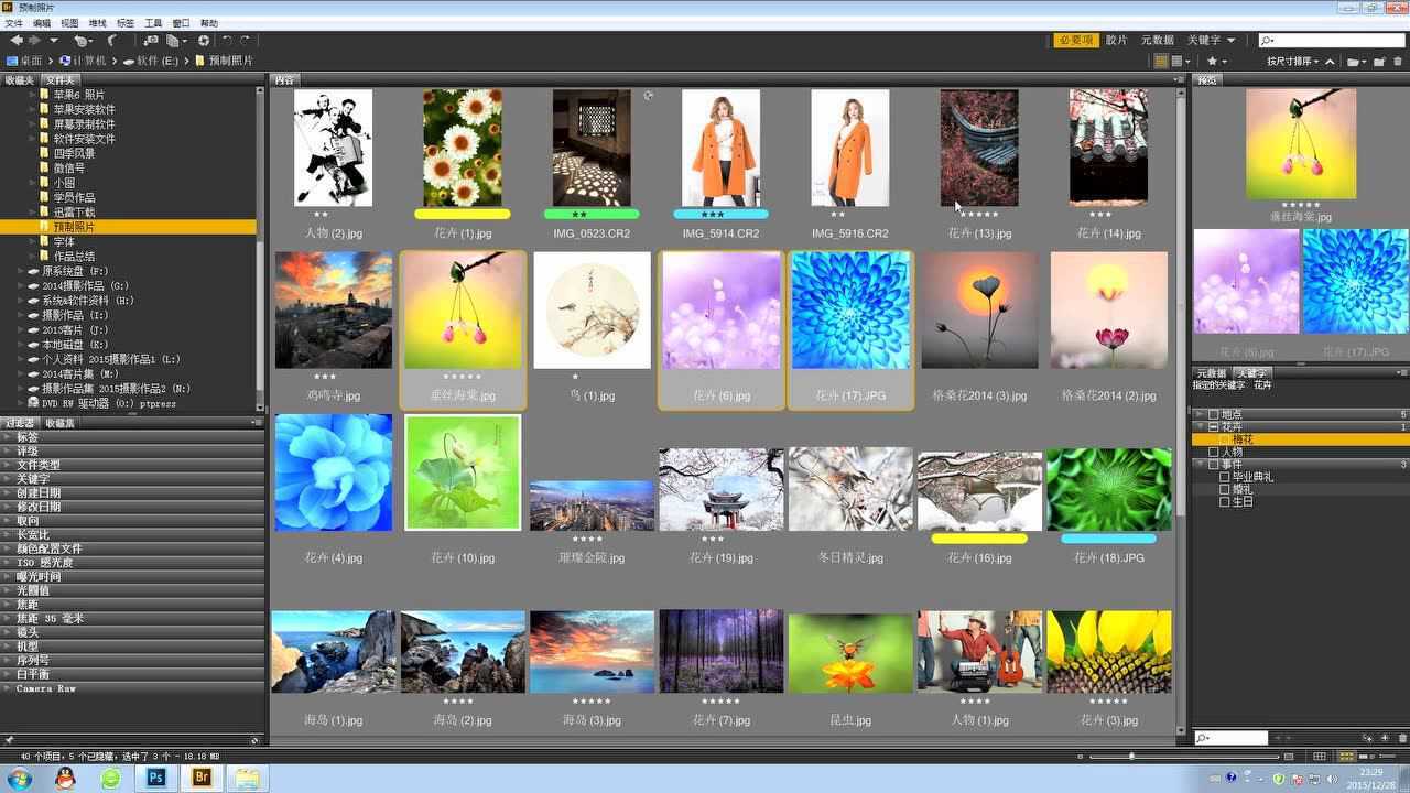Adobe Bridge CS4 软件管理素材界面截图 安卓版