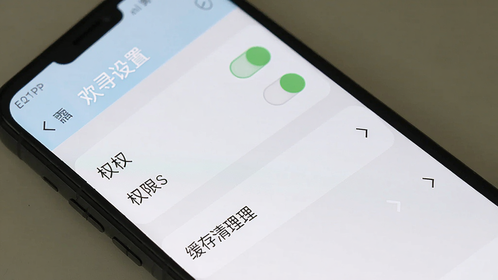 主体为手机屏幕显示欢寻设置界面,布局为纵向列表排列,排版上包含权限开关和缓存清理选项,风格为简洁设置页UI,细节包括开关按钮和箭头图标,画质清晰无杂乱元素,图片中文字显示“欢寻设置”