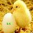 õ��������{package_version_name} õ��ͼƬ����