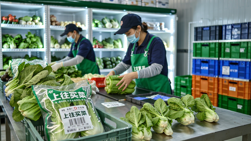 主体为“上往买菜”分拣中心内工作人员正在检查新鲜蔬菜并打包;布局为前景为打包台与蔬菜筐,中景为工作人员穿戴工服口罩,背景为冷藏货架与周转箱;排版采用横向三分法构图;风格为明亮写实摄影风;细节包括蔬菜叶片翠绿、包装袋印有“上往买菜”字样、冷链标签清晰可见;画质高清,干净,无多余元素