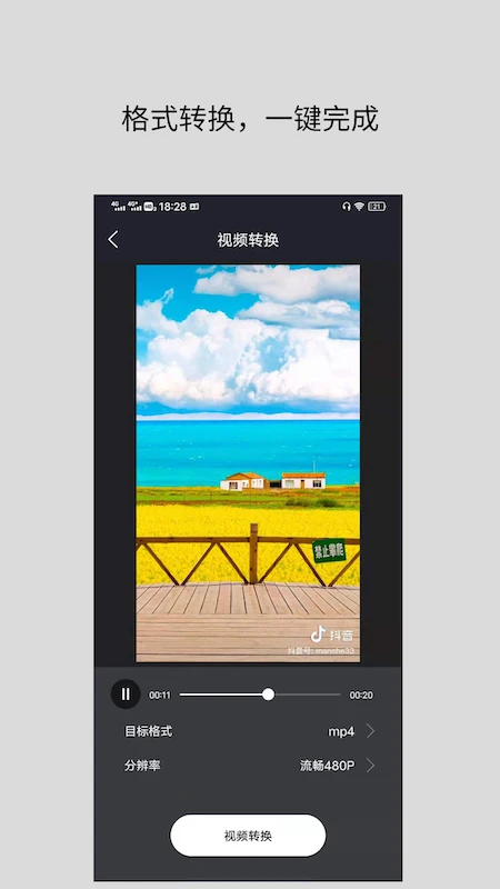 ��Ƶ��ʽת����{package_version_name} ȫ������Ƶת��