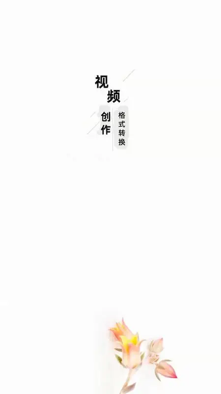 ��Ƶ��ʽת����{package_version_name} ȫ������Ƶת��