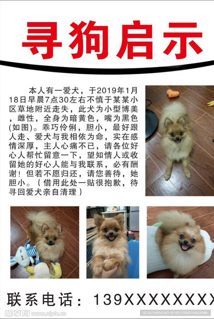 爱犬走失后制作的寻狗启事模板和联系方式展示