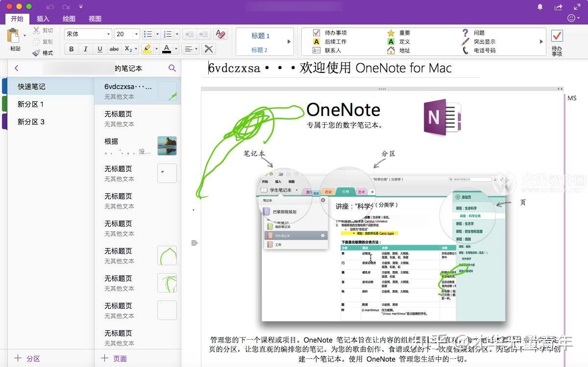 Microsoft Office OneNote 界面功能展示图