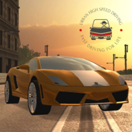 Traffic Racer Pro