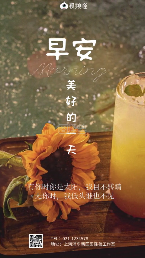 早安家 安卓版 早安视频界面