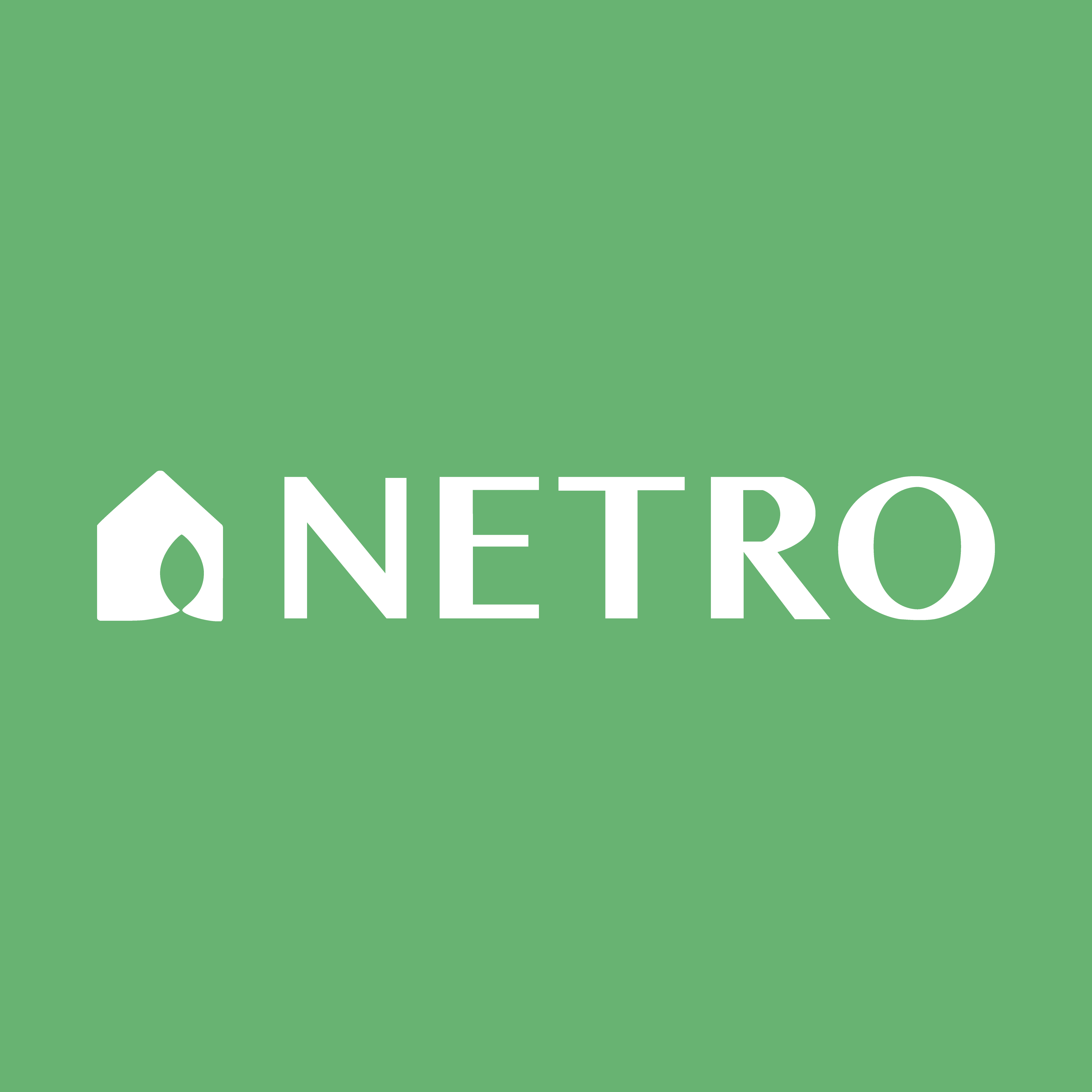 �͵���Netro Home