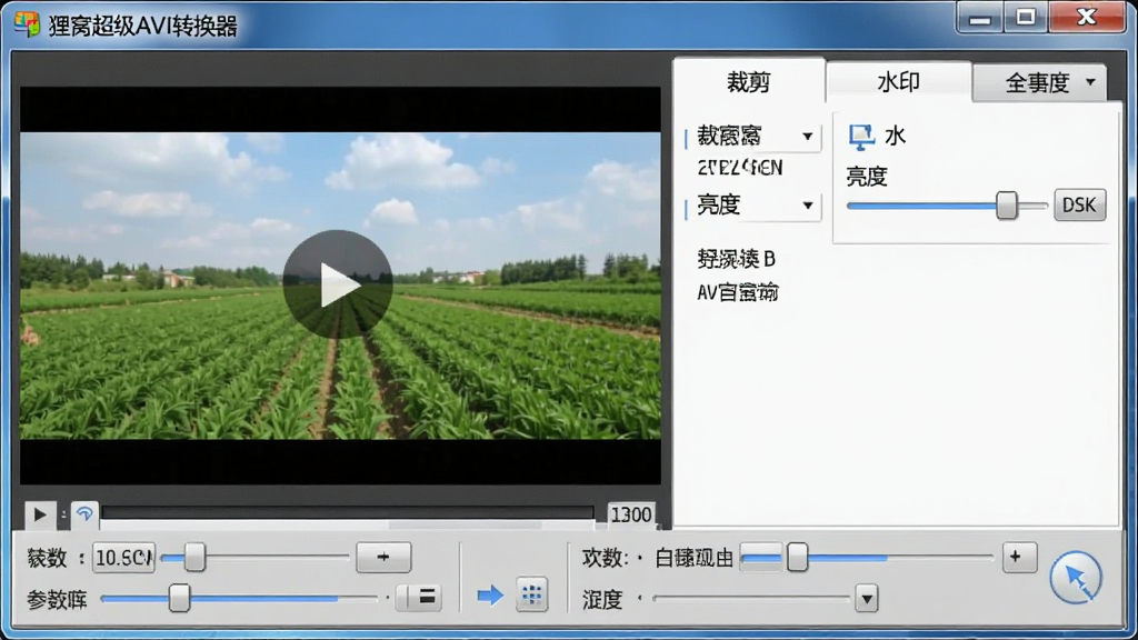 软件编辑功能界面图,画面展示狸窝超级AVI转换器的视频编辑窗口,左侧是视频预览区域,右侧是裁剪、水印、亮度调节等选项卡,下方有参数设置滑块,界面风格专业但易用,顶部标题栏清晰显示“狸窝超级AVI转换器”,整体布局紧凑,画质清晰,无多余元素